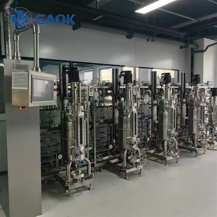 100L bioreactor 100L bioreactor